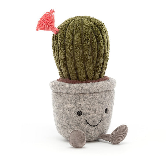 Silly Succulent - Cactus