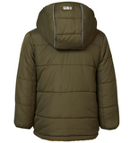 Winter Jacket Ward - Reversible - Ivy Green