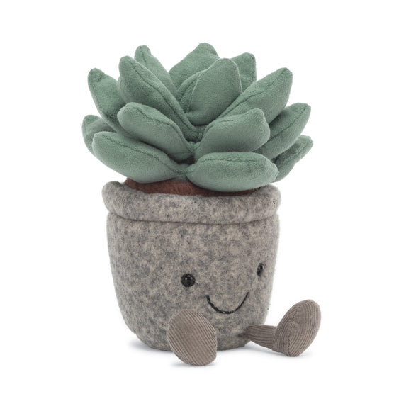 Silly Succulent - Azulita