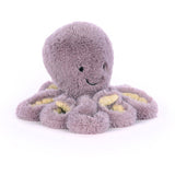 Maya Octopus - Baby
