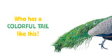Tails