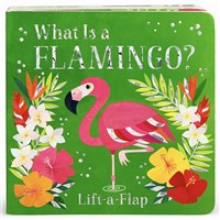 What is a Flamingo
