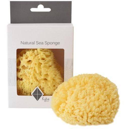 Kyte Sea Sponge